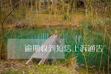 逾期收到短信上诉通告