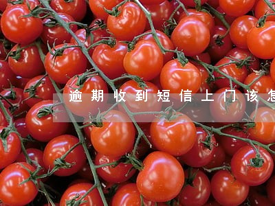 逾期收到短信上门该怎么办 逾期收到短信上门该怎么办