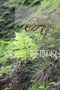 逾期收到短信冻结夫妻名下资产 逾期收到短信冻结夫妻名下资产