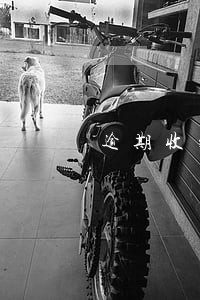 逾期收到短信说收快递