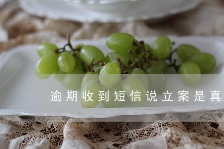 逾期收到短信说立案是真是假