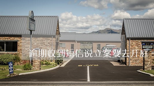 逾期收到短信说立案要去开庭