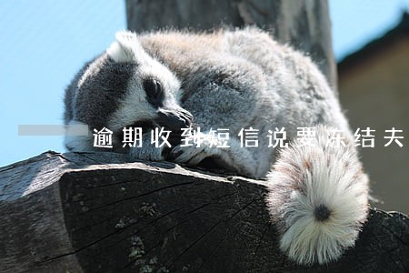 逾期收到短信说要冻结夫妻财产 逾期收到短信说要冻结夫妻财产