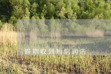 逾期收到短信通告 逾期收到短信通告