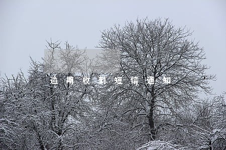逾期收到短信通知 逾期收到短信通知