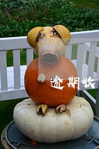 逾期收到短信重要通知