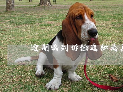 逾期收到诉讼通知是真的假的 逾期收到诉讼通知是真的假的