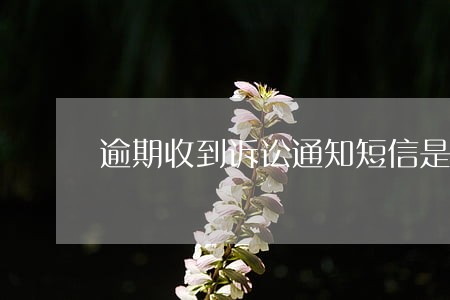 逾期收到诉讼通知短信是真的吗 逾期收到诉讼通知短信是真的吗