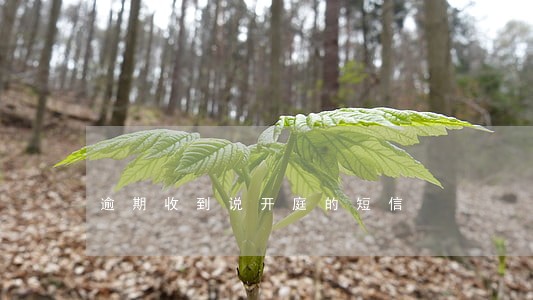 逾期收到说开庭的短信 逾期收到说开庭的短信