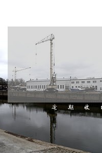 逾期收到调查通知