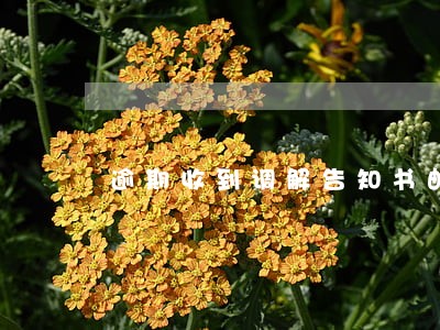 逾期收到调解告知书邮件 逾期收到调解告知书邮件