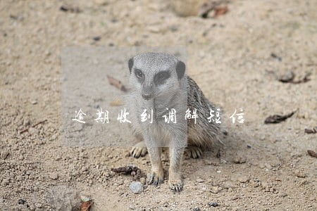 逾期收到调解短信 逾期收到调解短信