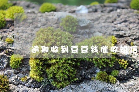 逾期收到豆豆钱催收短信 逾期收到豆豆钱催收短信