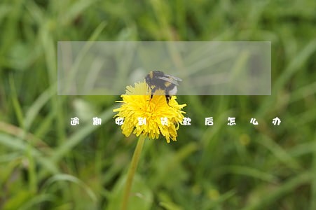 逾期收到货款后怎么办 逾期收到货款后怎么办