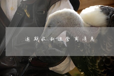 逾期收到运营商消息 逾期收到运营商消息