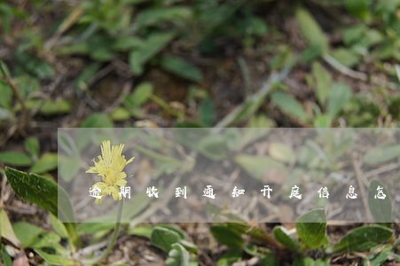 逾期收到通知开庭信息怎么办 逾期收到通知开庭信息怎么办