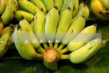 逾期收到邮政ems怎么办上海 逾期收到邮政ems怎么办上海