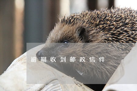 逾期收到邮政信件 逾期收到邮政信件
