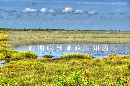 逾期收到邮政告知函 逾期收到邮政告知函