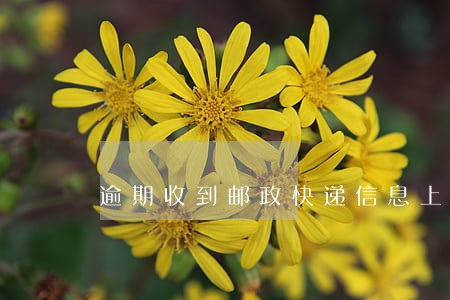 逾期收到邮政快递信息上海 逾期收到邮政快递信息上海