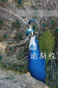 逾期收到金融贷款短信 逾期收到金融贷款短信