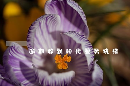 逾期收到阳光警务执法 逾期收到阳光警务执法