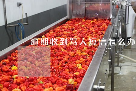 逾期收到骂人短信怎么办 逾期收到骂人短信怎么办