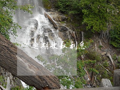 逾期收取利息 逾期收取利息