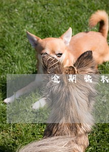 逾期收取多少合法 逾期收取多少合法