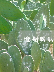 逾期收取多少费用标准