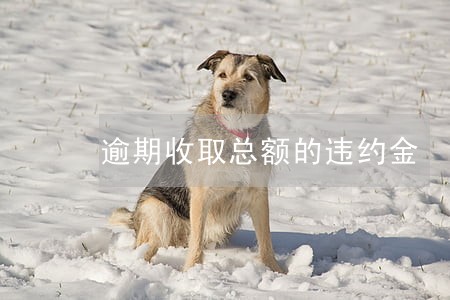 逾期收取总额的违约金