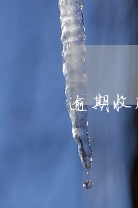逾期收取支付无形资产费用 逾期收取支付无形资产费用
