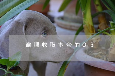 逾期收取本金的03 逾期收取本金的03