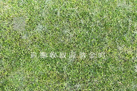 逾期收取滞纳金吗 逾期收取滞纳金吗