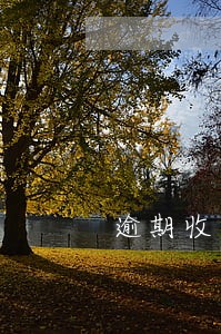 逾期收取逾期罚息 逾期收取逾期罚息
