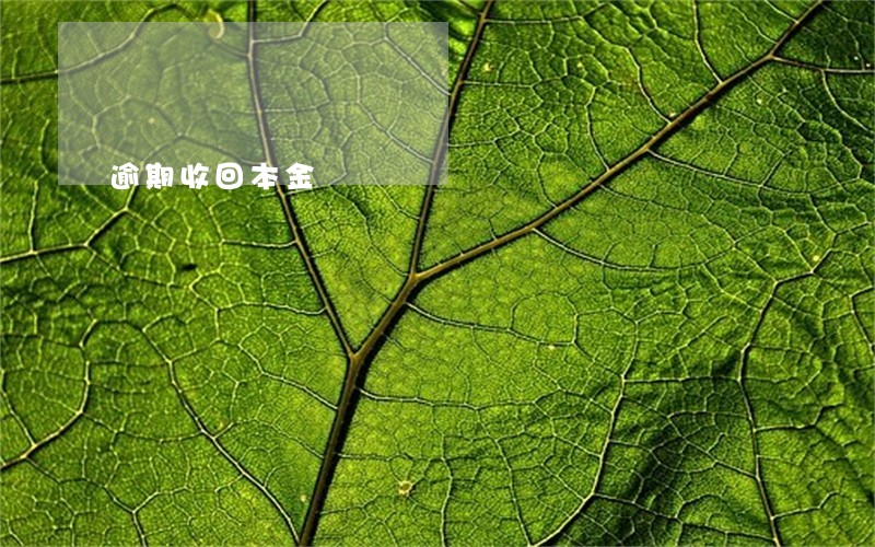 逾期收回本金 逾期收回本金