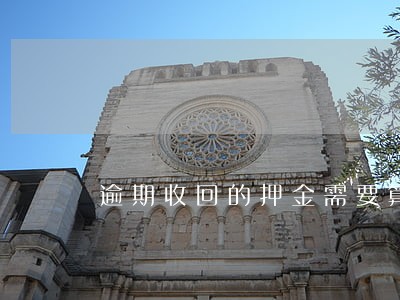 逾期收回的押金需要算增值税吗 逾期收回的押金需要算增值税吗