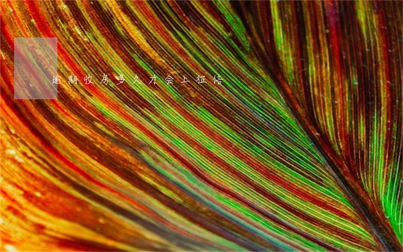 逾期收房多久才会上征信 逾期收房多久才会上征信