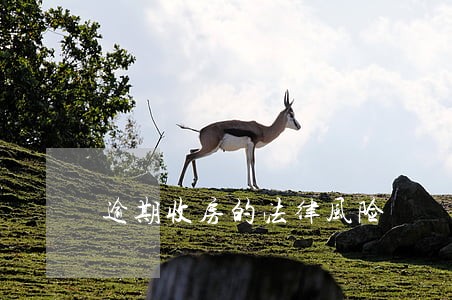 逾期收房的法律风险 逾期收房的法律风险