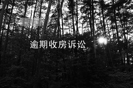 逾期收房诉讼 逾期收房诉讼