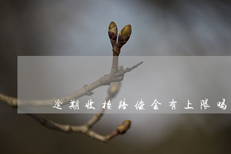 逾期收楼赔偿金有上限吗 逾期收楼赔偿金有上限吗