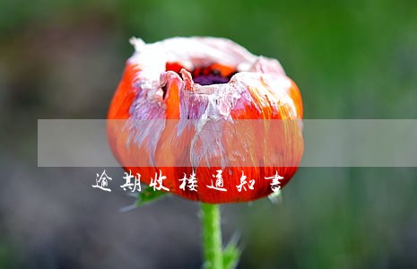 逾期收楼通知书 逾期收楼通知书