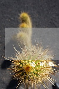 逾期收款协议书 逾期收款协议书