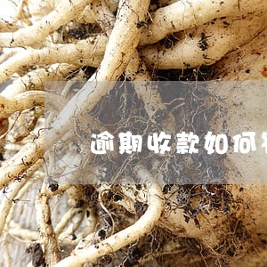 逾期收款如何罚款 逾期收款如何罚款