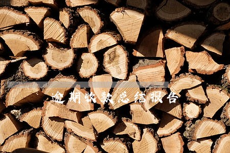 逾期收款总结报告 逾期收款总结报告