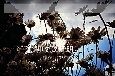 逾期收款证明 逾期收款证明