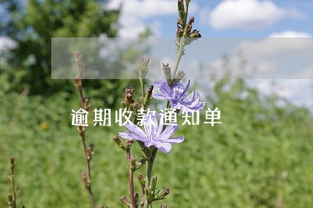 逾期收款通知单 逾期收款通知单