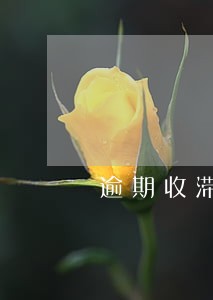 逾期收滞纳金合法吗