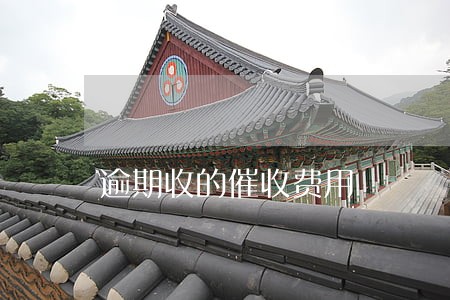 逾期收的催收费用 逾期收的催收费用