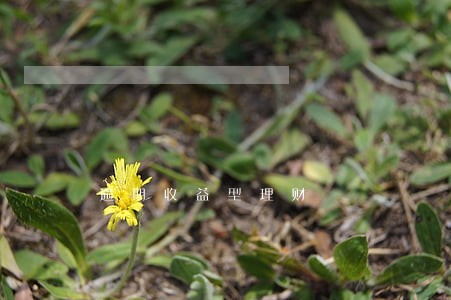 逾期收益型理财 逾期收益型理财
